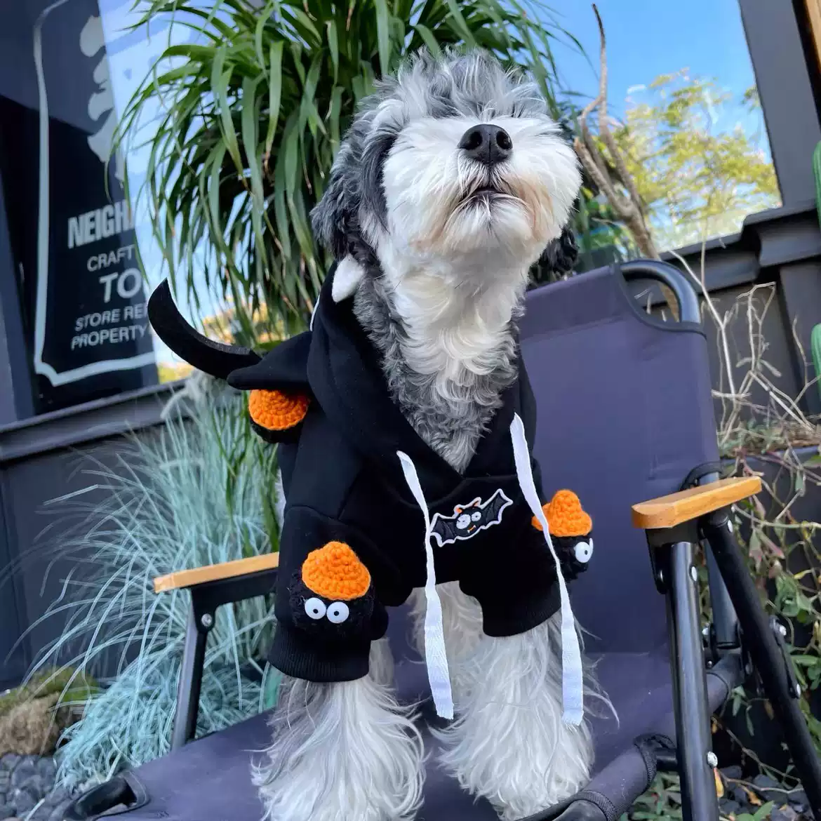 Winter Fleece-Lined Funny Hoodie for Small Dogs & Cats