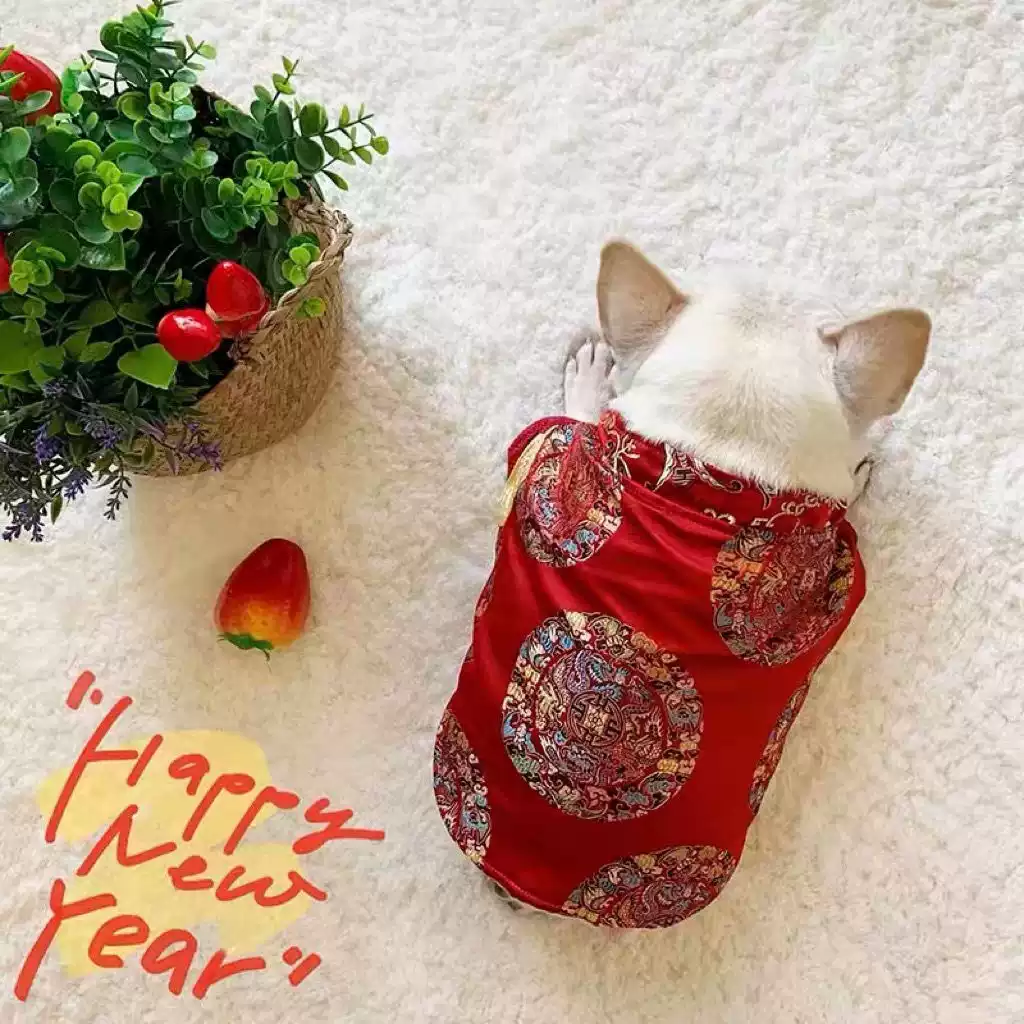 Chinese New Year Traditional Dog Outfit with Frog Buttons