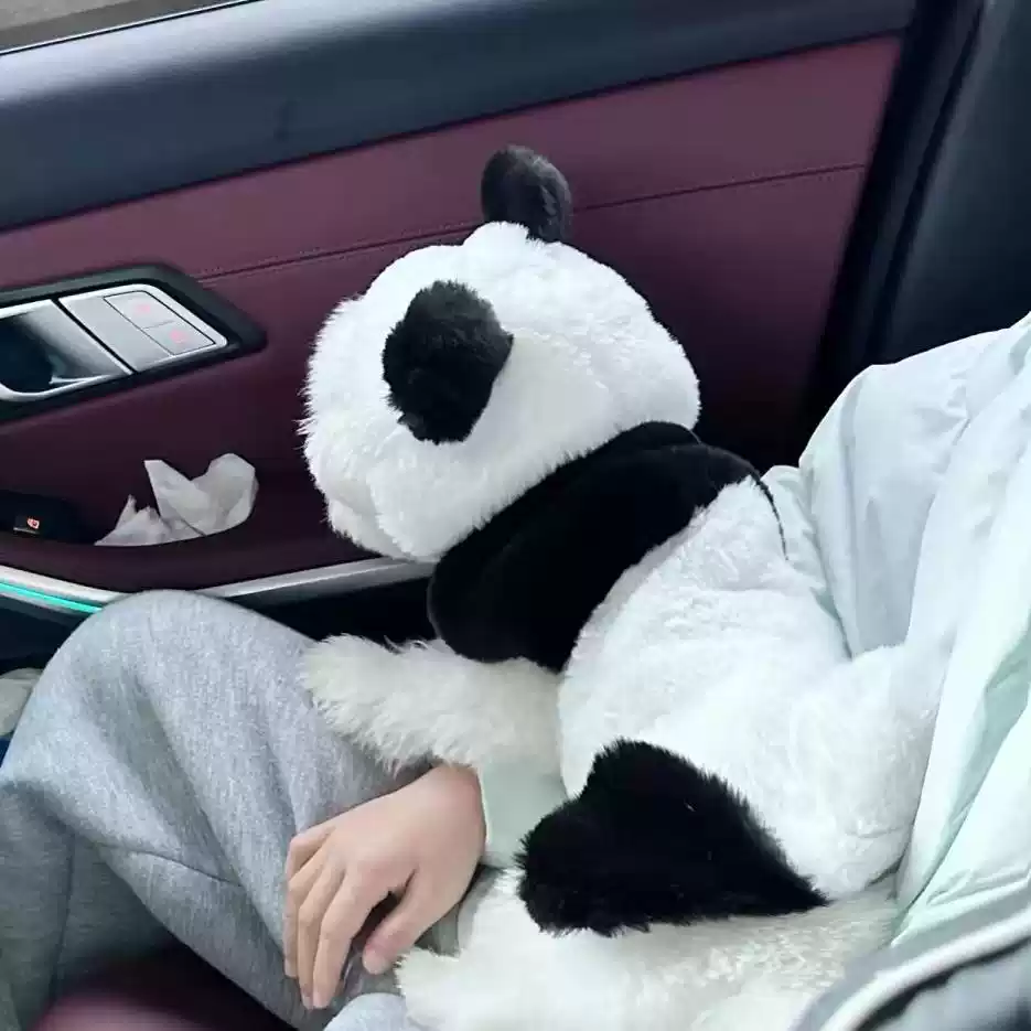 Cute Panda Transformation Dog Outfit - Four-Legged Funny Costume