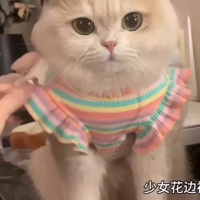 Anti-Shedding Flutter Sleeve Pet Dress for Spring & Summer