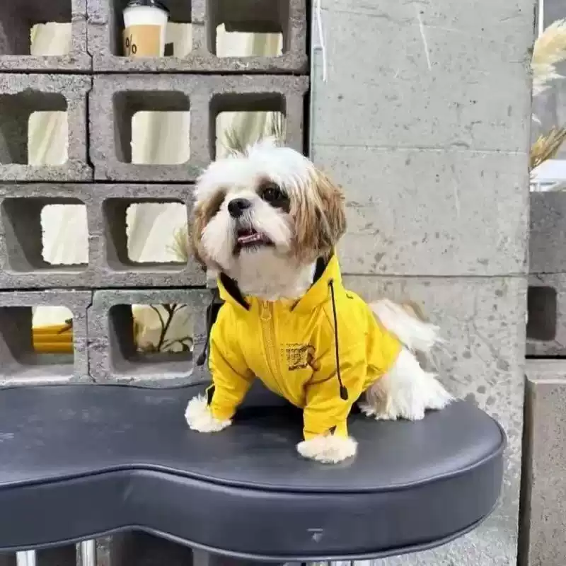 Hooded Dog Jacket Autumn/Winter Pet Coat