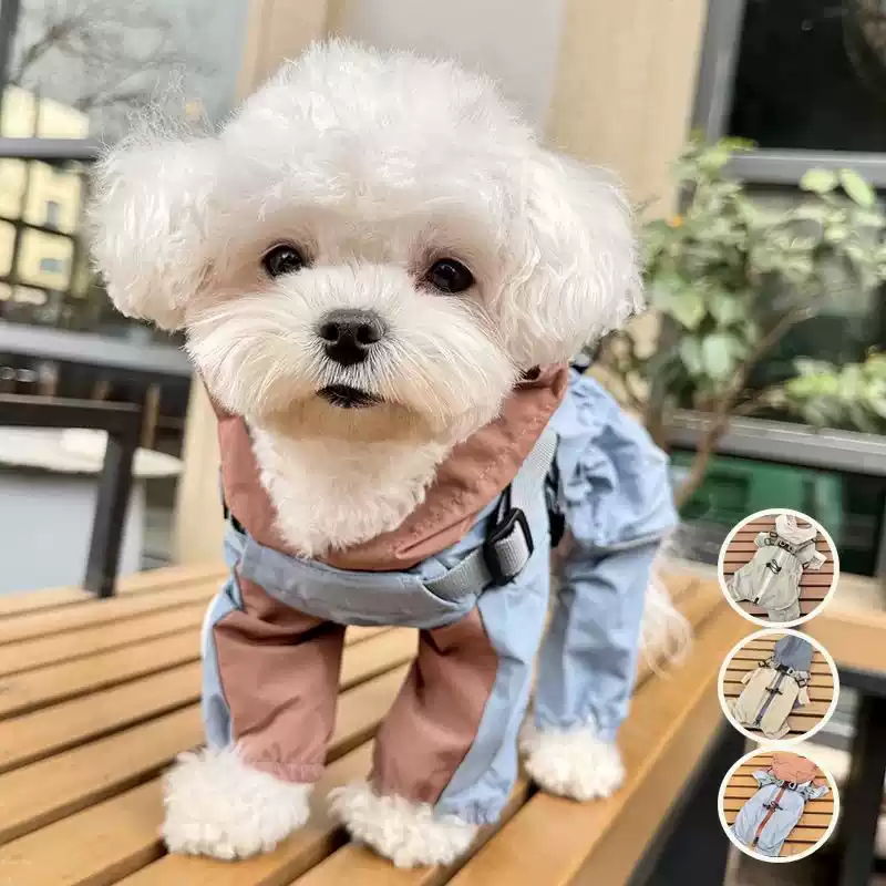 Four-Legged Waterproof Pet Raincoat with Color Blocking, Windproof - for Dogs and Cats