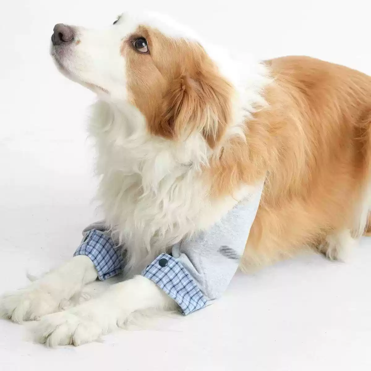 New Dog Elbow and Leg Protective Cover - Dirt-Resistant Knee Pads