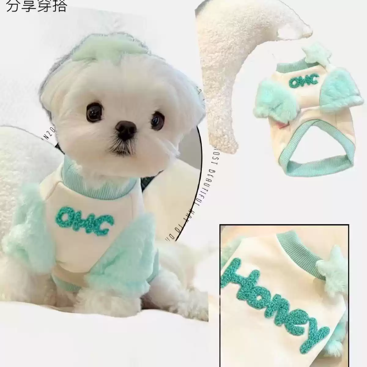 Pet Sweatshirt for Cats & Small Dogs - Autumn/Winter