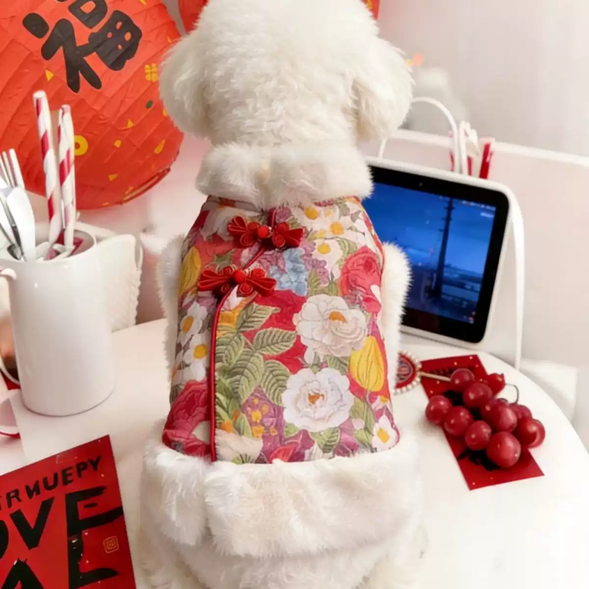 Festive Winter Thickened Dog Costume - New Year Chinese Traditional Style Warm Pet Outfit