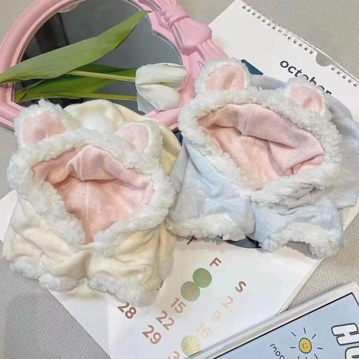 Cute Fluffy Autumn/Winter Hoodie for Pets