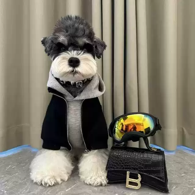 Autumn & Winter Warm Pet Hoodie, Fleece - Lined Faux Two - Piece for Small Dogs