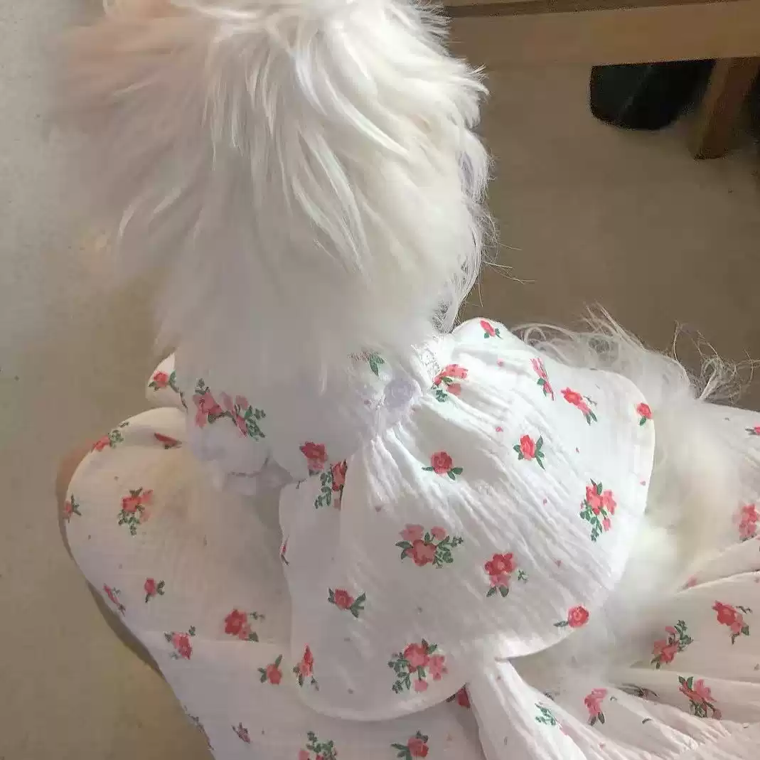 Winter Floral Pet Dress - Dog & Cat Apparel, Cute Style