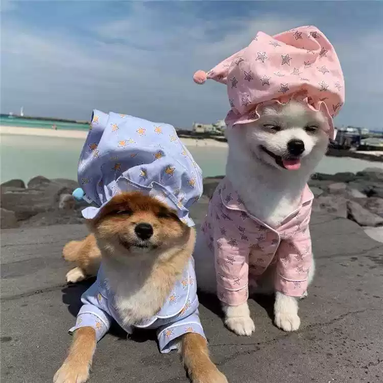 Star-Patterned Dog Pajama Set with Hat - Spring & Autumn Homewear