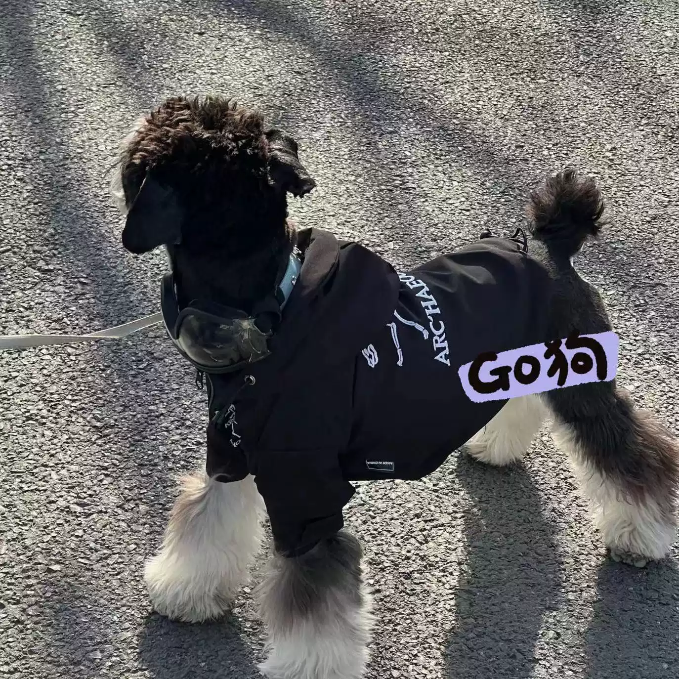 Winter & Autumn Waterproof Fleece-Lined Pet Jacket for Dogs