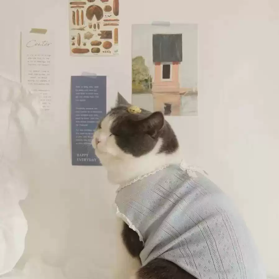 Dog & Cat Cotton Bow Vest, Thin, Cute Spring/Autumn Anti-Shedding Base Layer