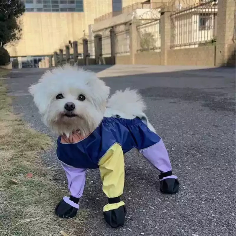 Waterproof Anti-Dirty Footed Dog Suspender Pants for Medium & Small Dogs