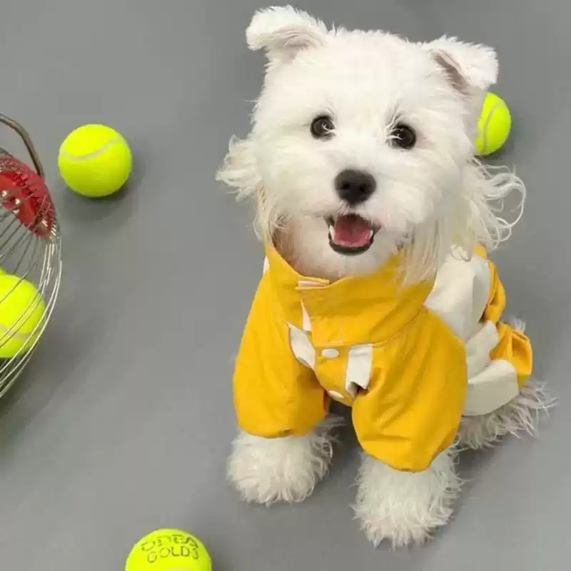 Waterproof Four-Legged Dog Raincoat, Color-Blocked Windproof Jacket