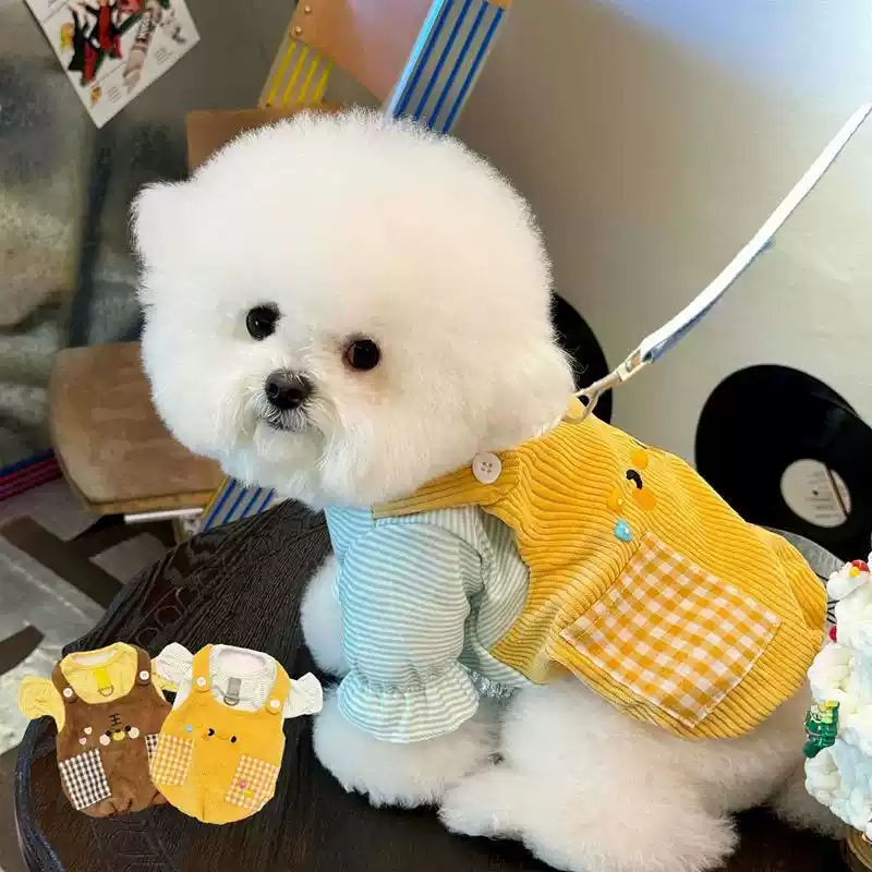 New Style Small Dog & Cat Hoodie with Harness Pocket