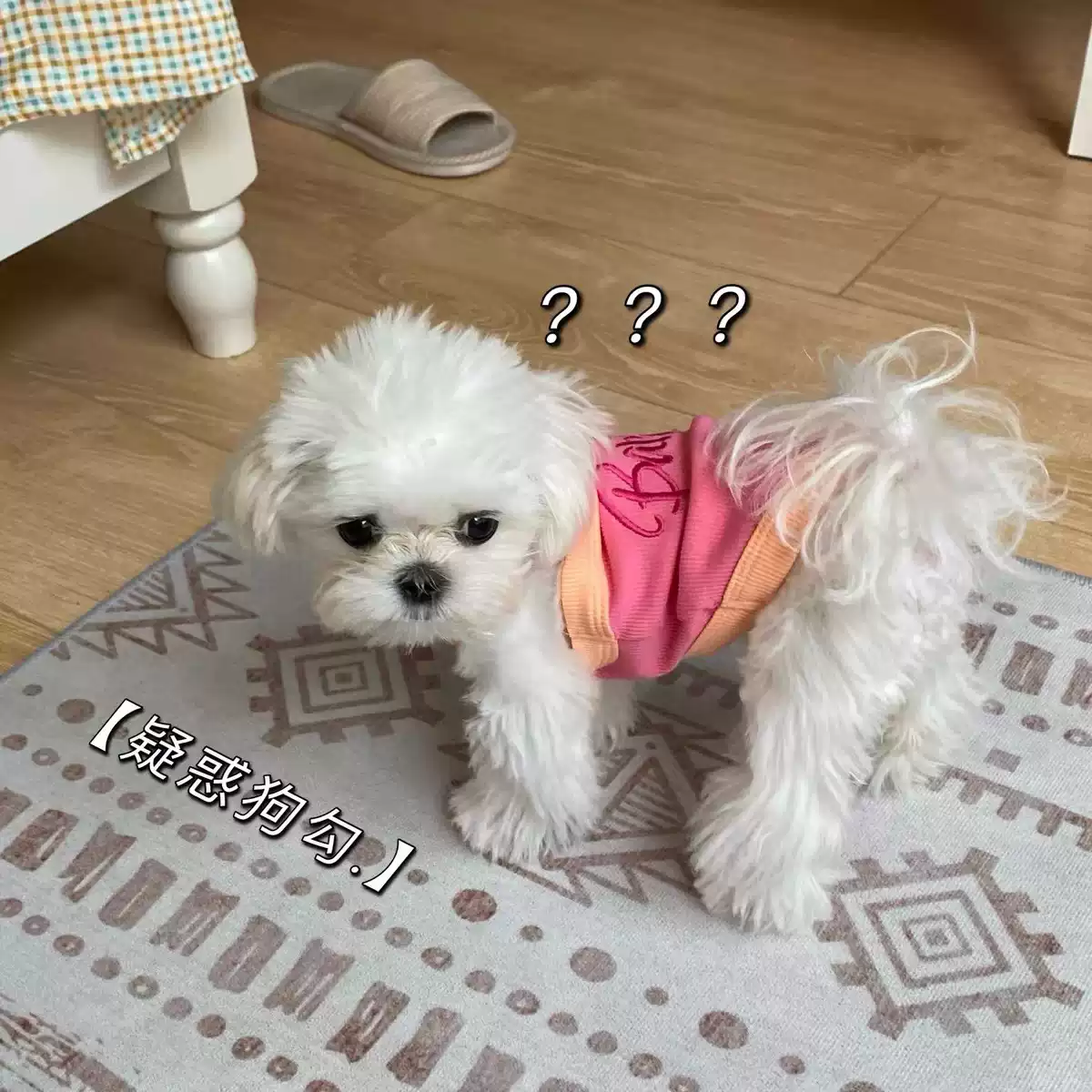 Generic Dog Ice Silk Cooling Sun-Protection Color-Block Cami