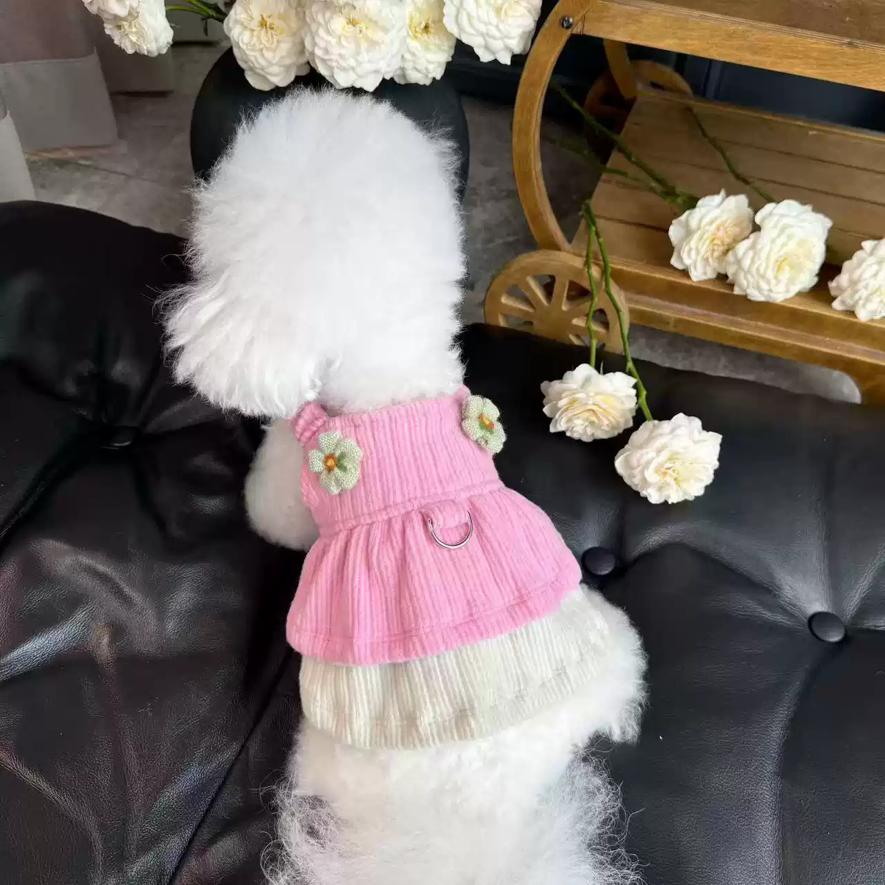 Autumn & Winter Knitted Color-Blocked Pet Sweater Dress - Warm Coat for Dogs & Cats