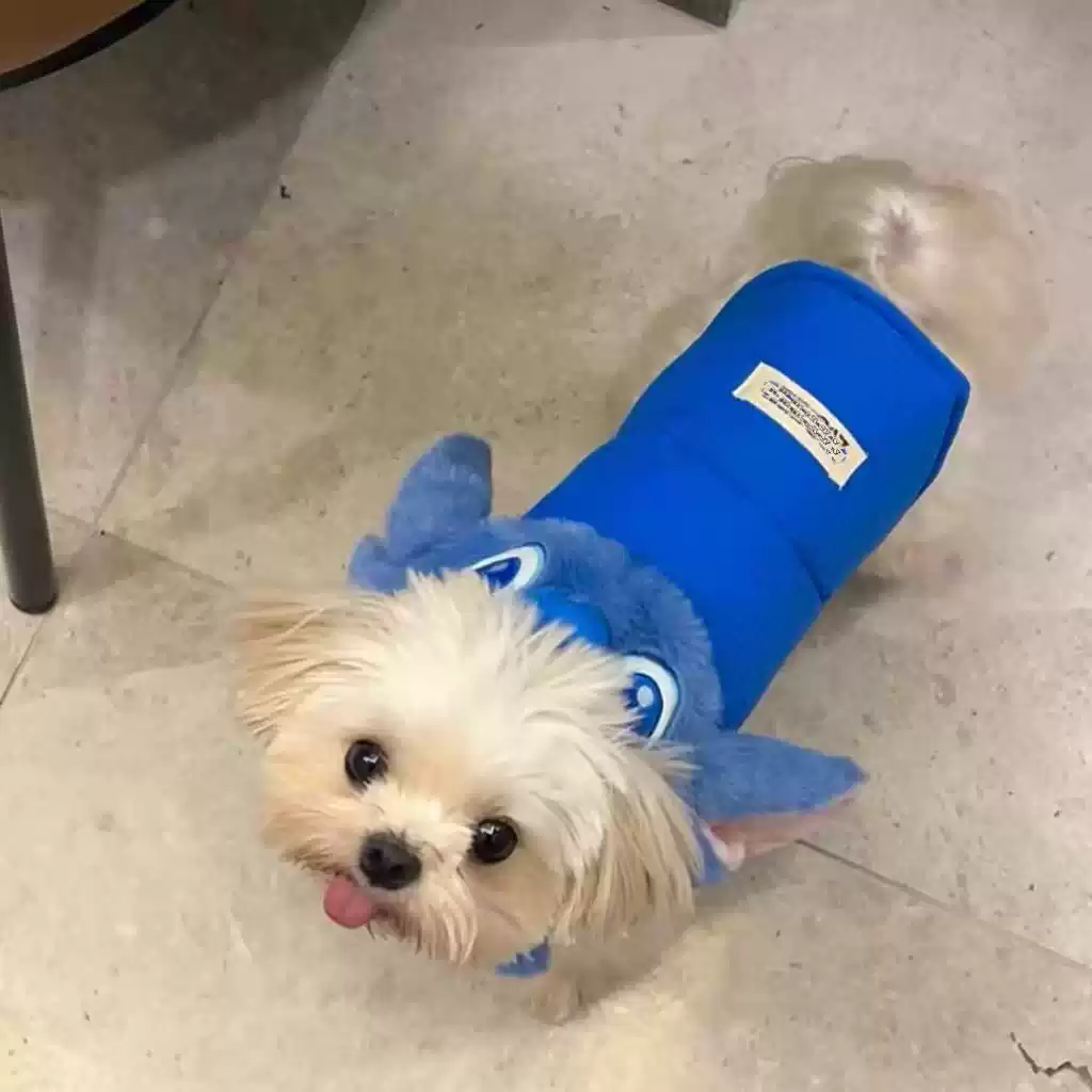 Dog Autumn & Winter Little Monster Hooded Cotton Vest - Big Ears, Thickened Warm, Super Cute Pet Jacket