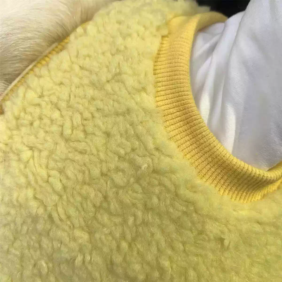 Small Dog Winter Warm Cotton Vest