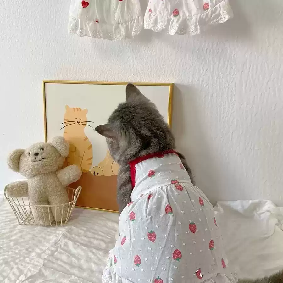 Pet Summer Sleeveless Dress - Bear Style, Fresh Design for Dogs & Cats