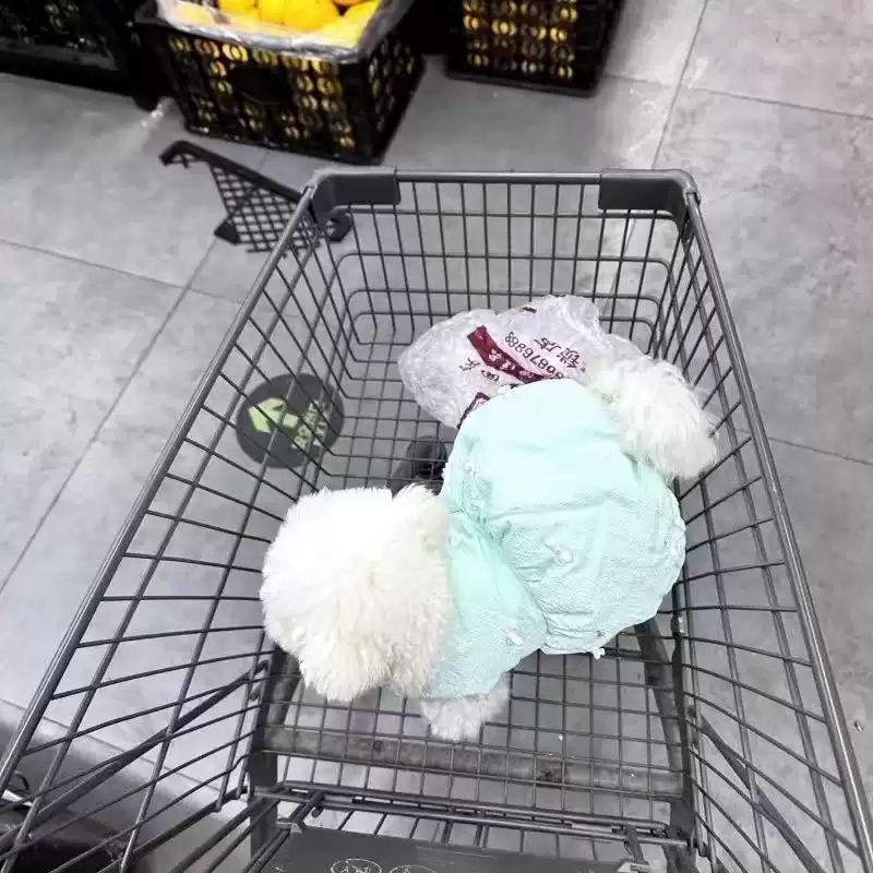 Winter and Autumn New Style Fleece-Lined Cotton-Padded Bowknot Tutu Skirt for Pets