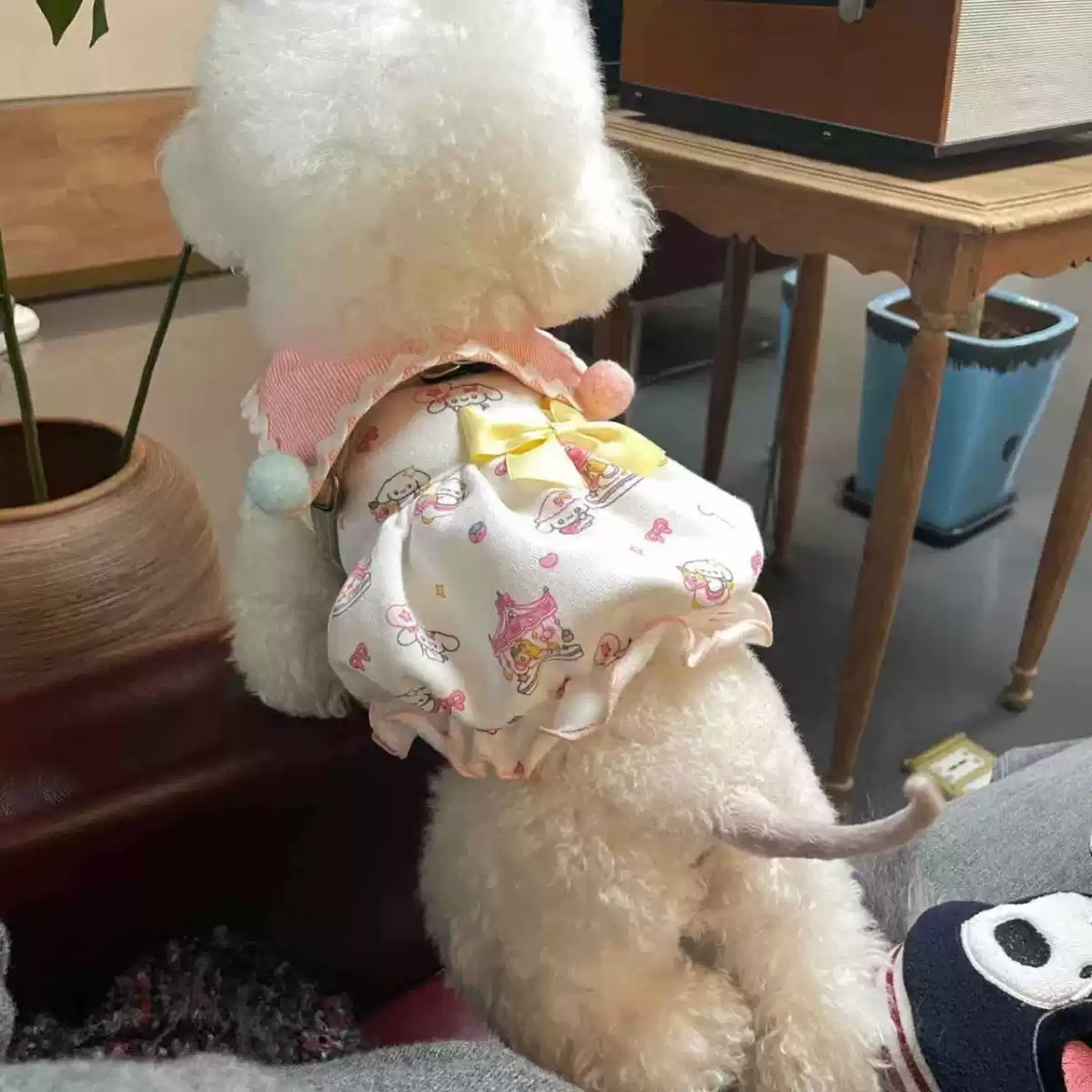 Stylish Princess-Style Autumn/Winter Pet Cat & Dog Dress