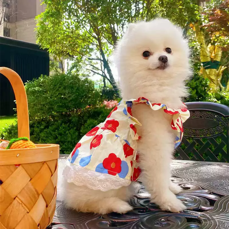 Floral Ruffled Sleeve Summer Dress for Small Dogs & Cats