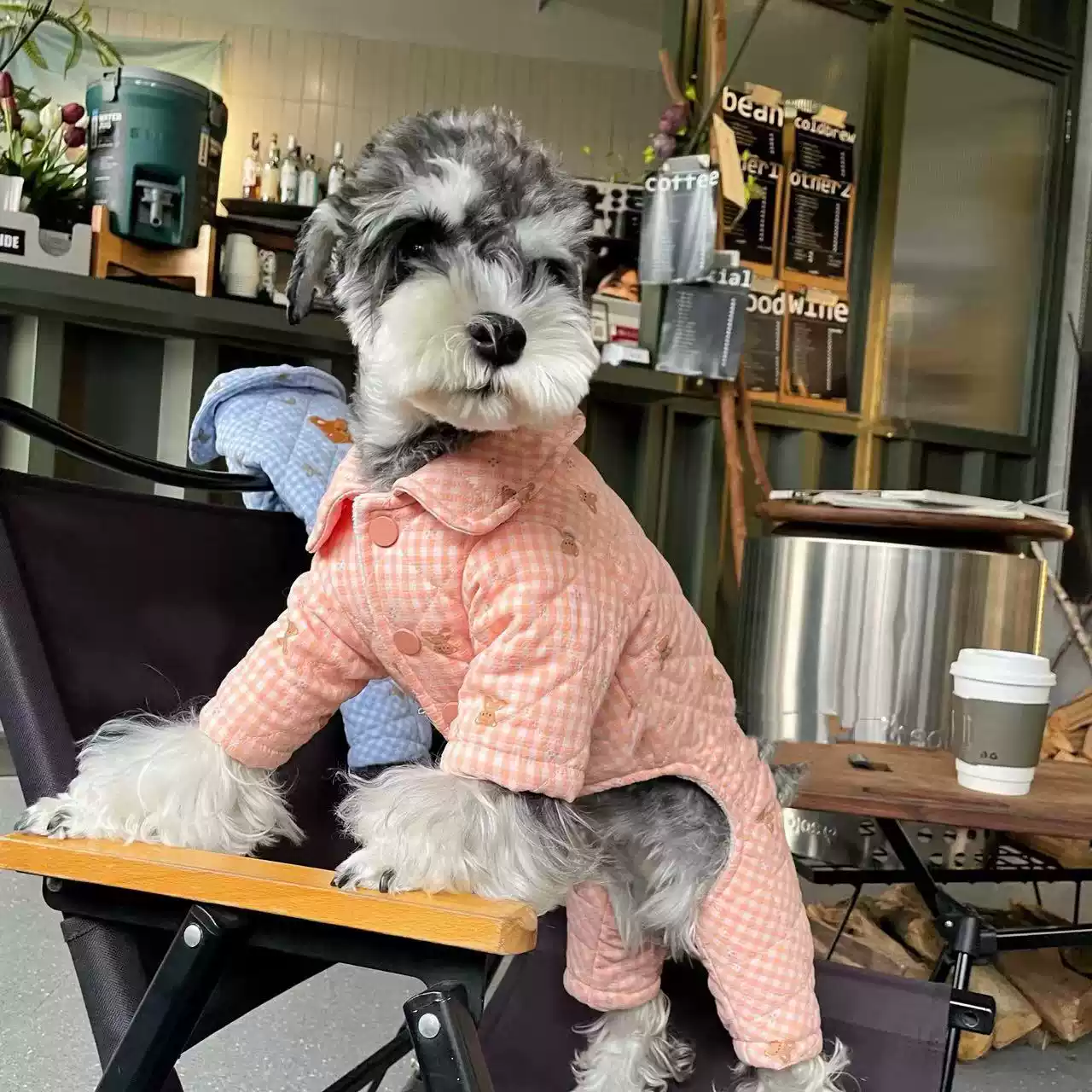 Winter Thickened Four-Legged Cotton Jacket for Dogs & Cats