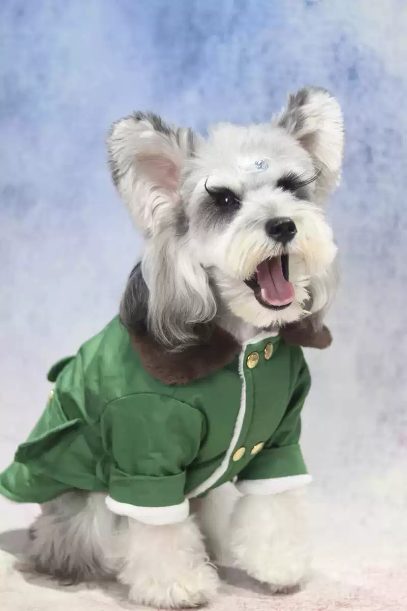 Pet Cat & Dog Winter Thickened Warm Cotton Coat - Military Green