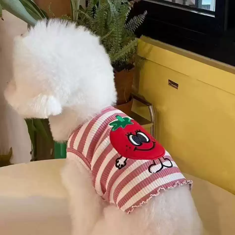 Summer Pet Dog Vest - Cool Fruit Style for Small Dogs