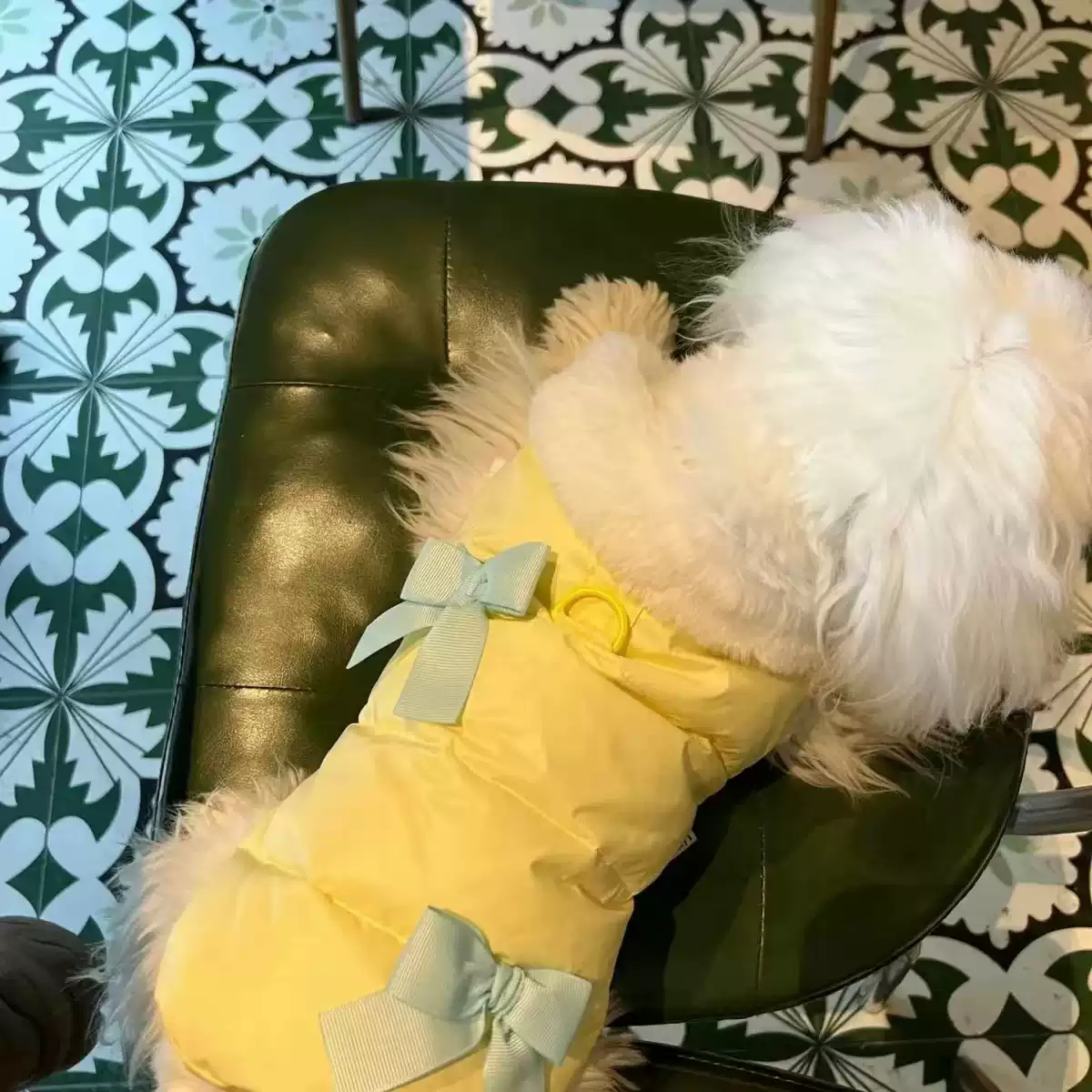 Winter Korean Style Sleeveless Leash-Compatible Dog Vest for Small Dogs