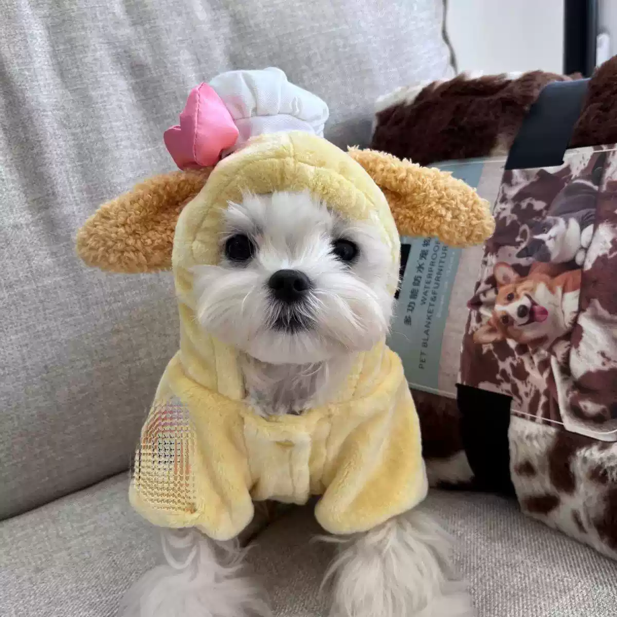 Pet Cute Autumn-Winter Two-Legged Flannel Coat, Warm for Small Dogs & Cats