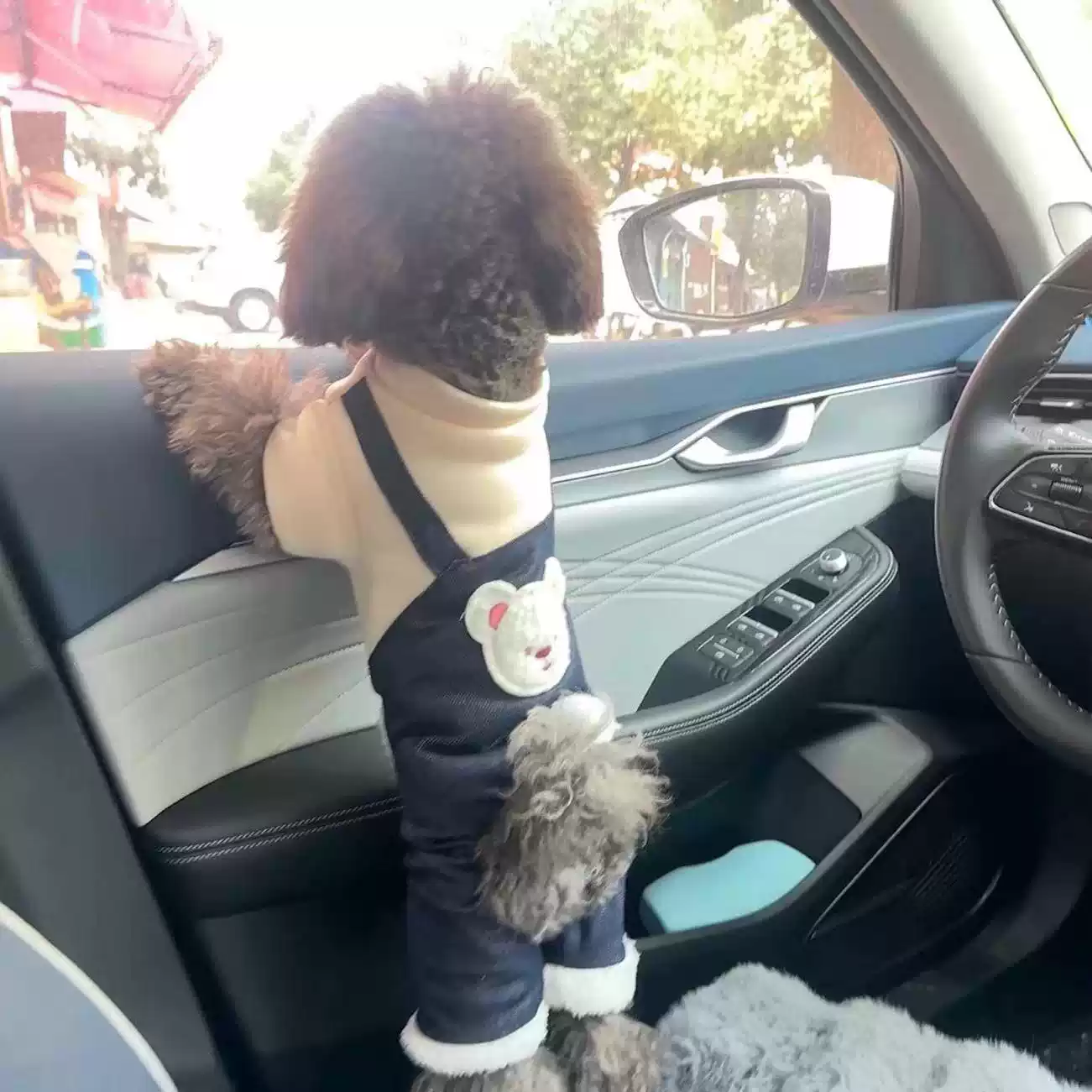 Winter Thick Snow-Proof Cotton Four-Legged Pet Jacket for Dogs & Cats