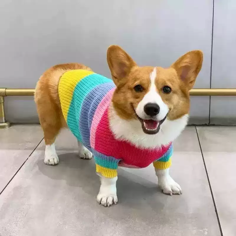 Small and Medium-Sized Dog Rainbow Sweater - Autumn/Winter Warm Pet Outfit