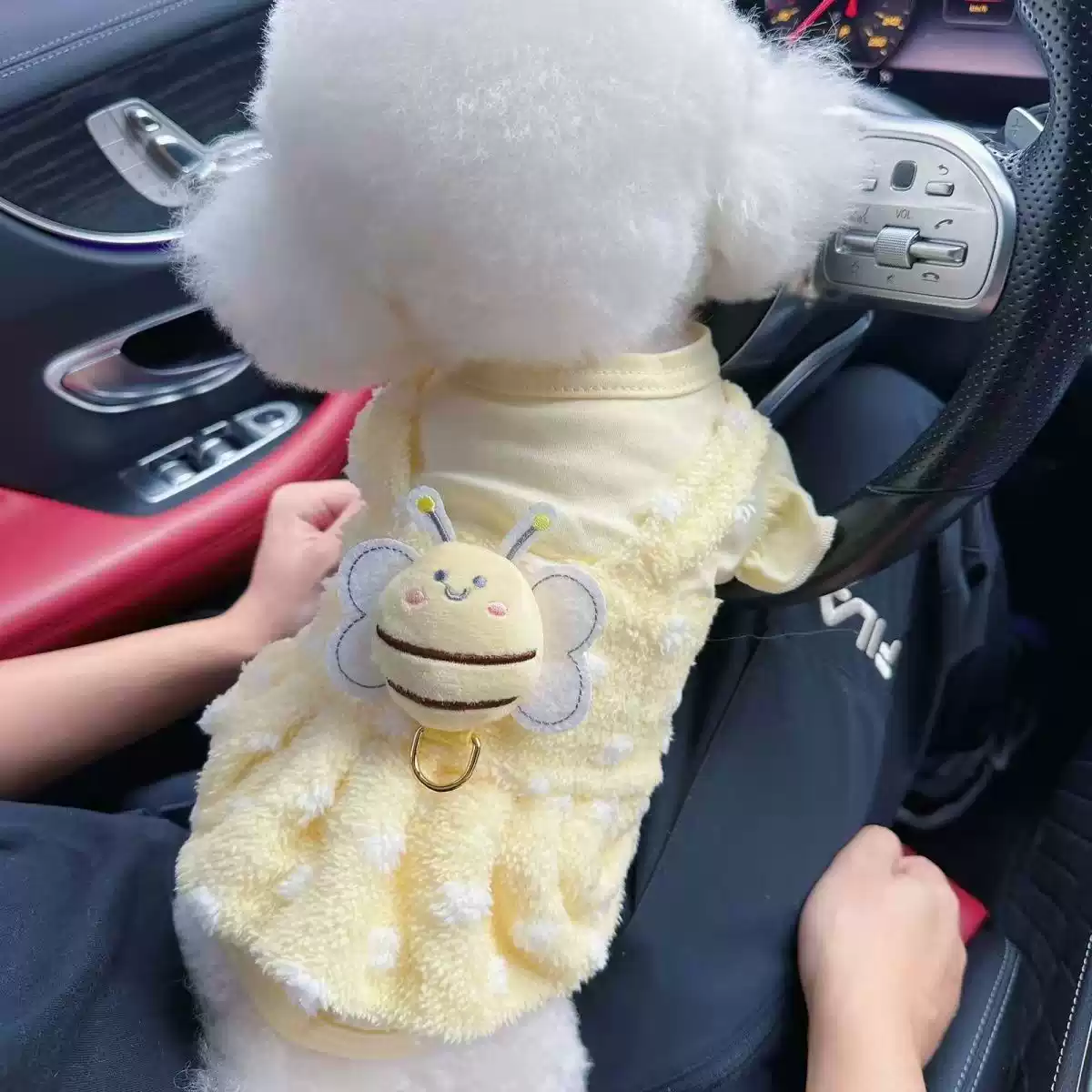 Pet Small Dog & Cat Fake Two-Piece Outfit - Fall/Winter & Spring/Autumn