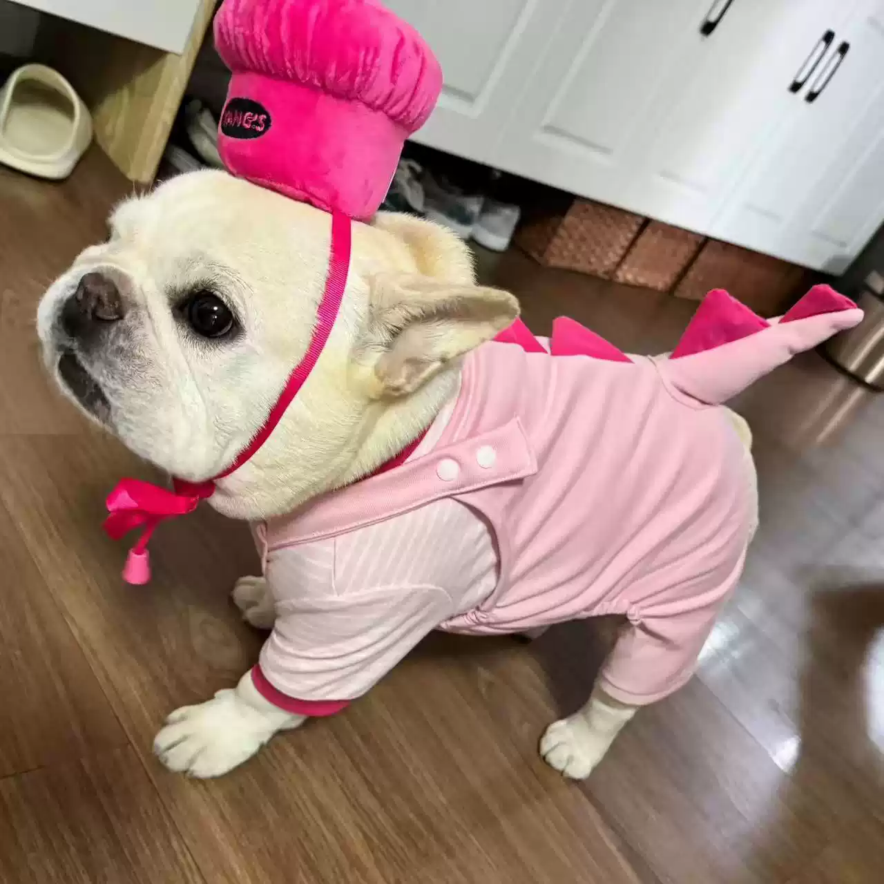 2024 Autumn-Winter New Style Pet Dog Suspender Pants, Cute Apparel for Small to Medium Fat Dogs, French Bulldogs, Pugs