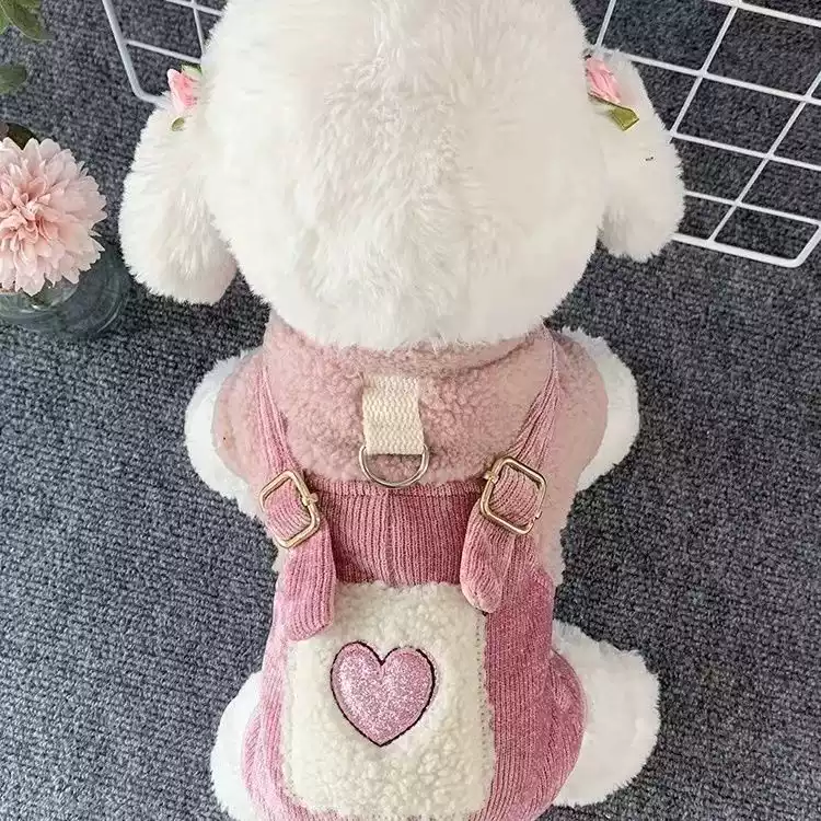 Winter Thick Warm Four-Legged Pet Coat - Cute Design