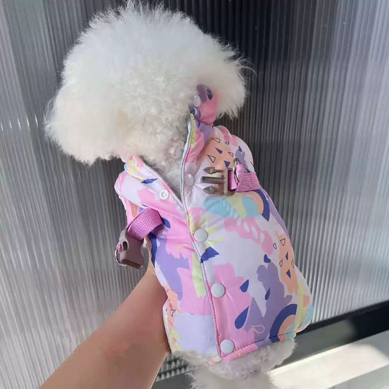 New Thickened Four-Legged Autumn/Winter Belly Protection Dog Outfit with Leash for Small Dogs