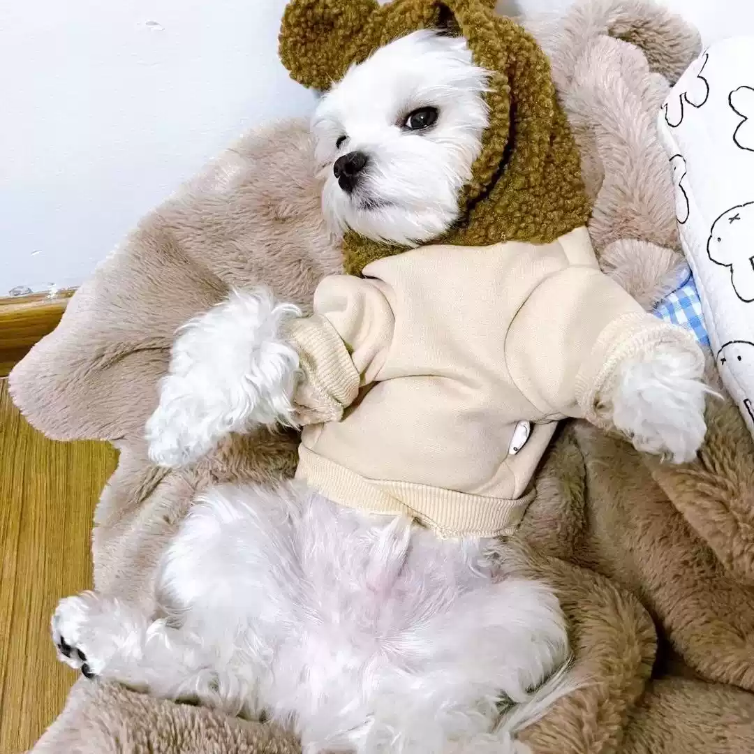 Small Dog Autumn Winter Spring Fall Clothes