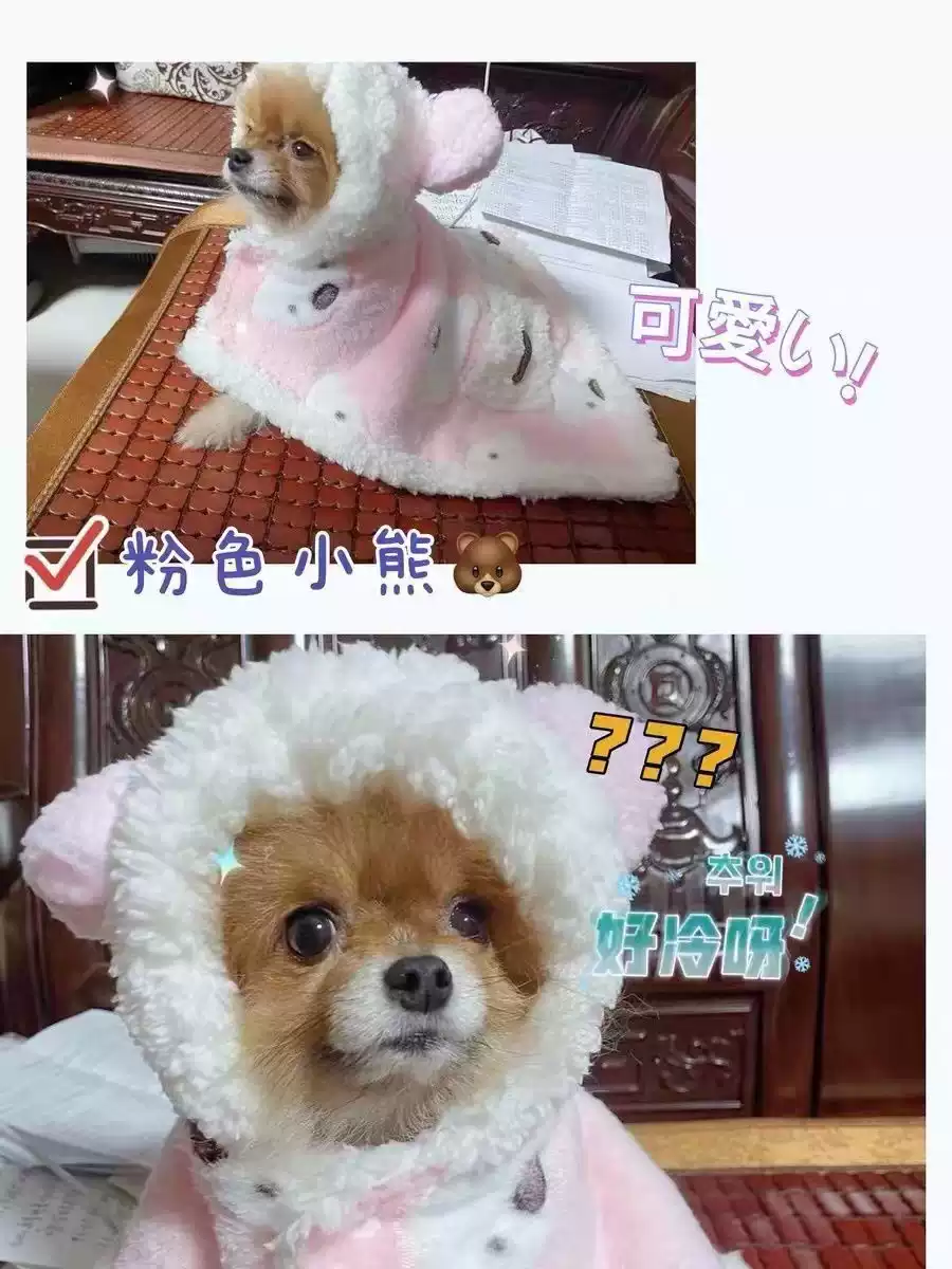 Autumn & Winter Warm Pet Poncho for Dogs & Cats