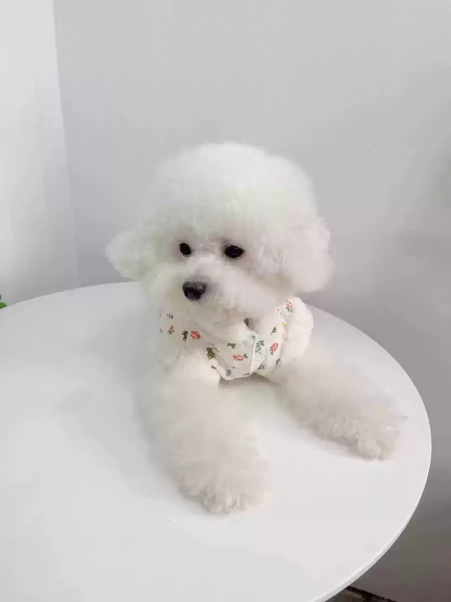 Autumn/Winter New Style Fleece-Lined & Cotton-Padded Harness Vest for Dogs & Cats, Thickened Open-Front Jacket