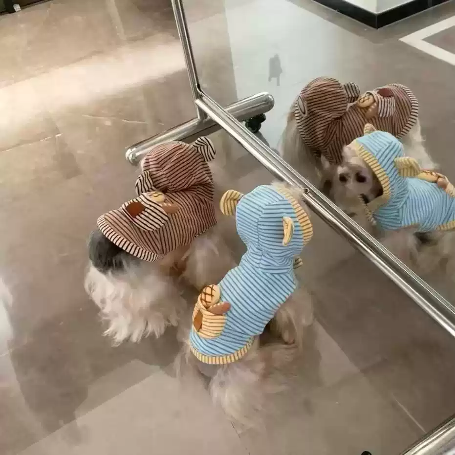 Small Dog Anti-Shedding Pet Clothes, Thin Spring/Summer/Autumn Style