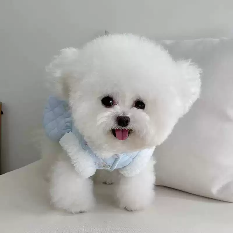 Autumn/Winter Fleece-Lined Padded Vest with Leash Ring for Dogs & Cats (Thickened Outdoor Style)