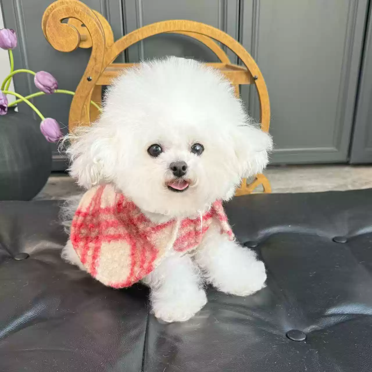 2025 Pet Autumn & Winter New Christmas Cape Cloak Vest for Dogs & Cats New Year Coat