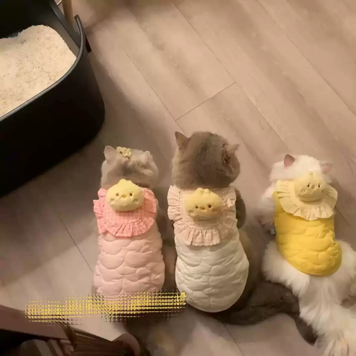 2025 New Fleece Vest for Cats & Dogs, Autumn/Winter Warm & Cute