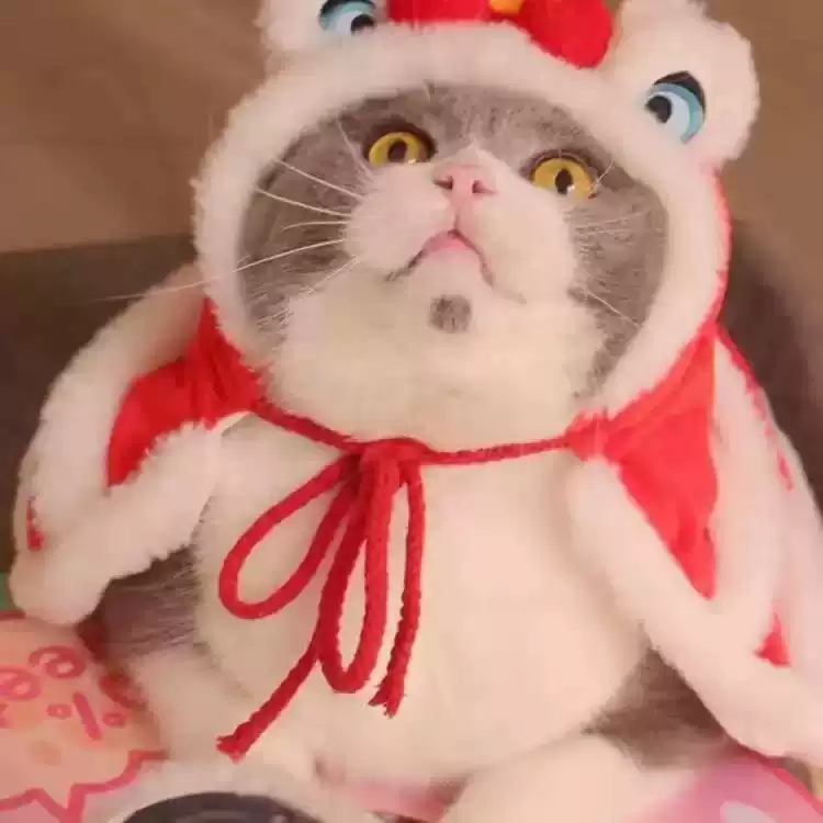 Winter Warm Lion Dance Pet Cloak - Cat & Dog Costume