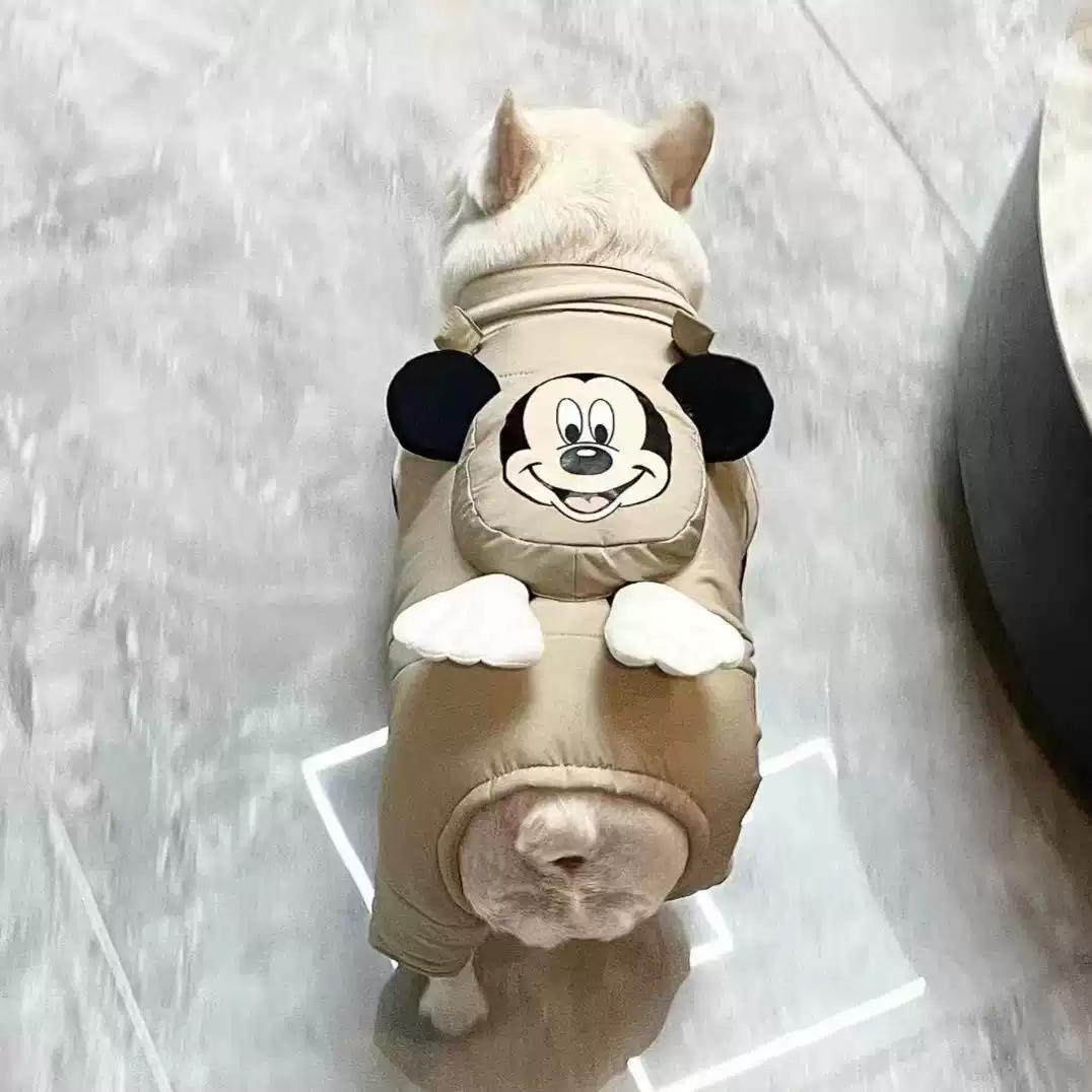 Small & Medium Dog Fleece-Lined Thick Overalls - Winter & Autumn Warm Costume