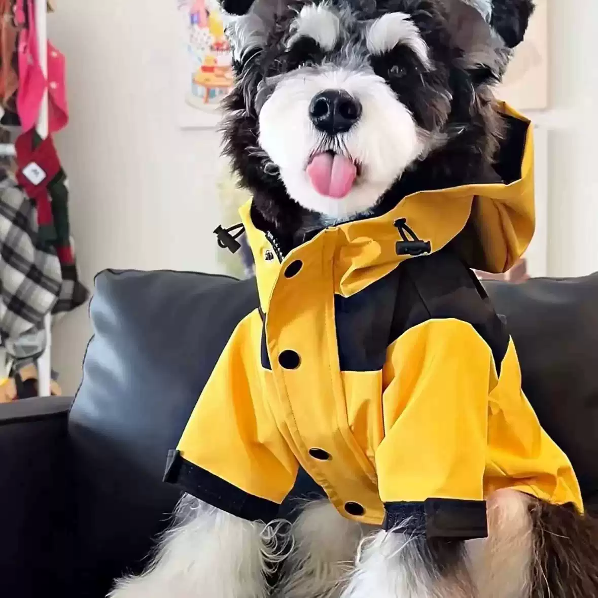 Small Breed Dog Autumn/Winter Thick Outdoor Jacket for Pets
