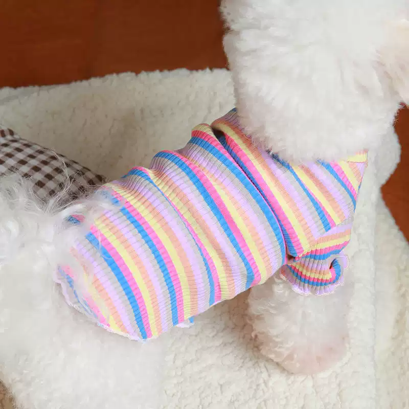 Small Dog & Cat Cotton-Padded Vest - Autumn, Winter, Spring