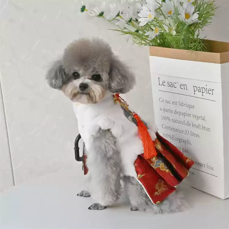 Winter New Year Pet Dog Tang Suit Outfit