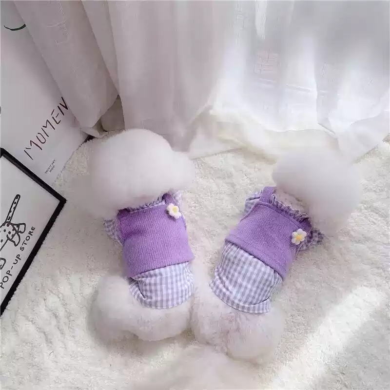 Sweet Korean-Style Knit Pet Set - Spring & Autumn Clothing for Dogs and Cats
